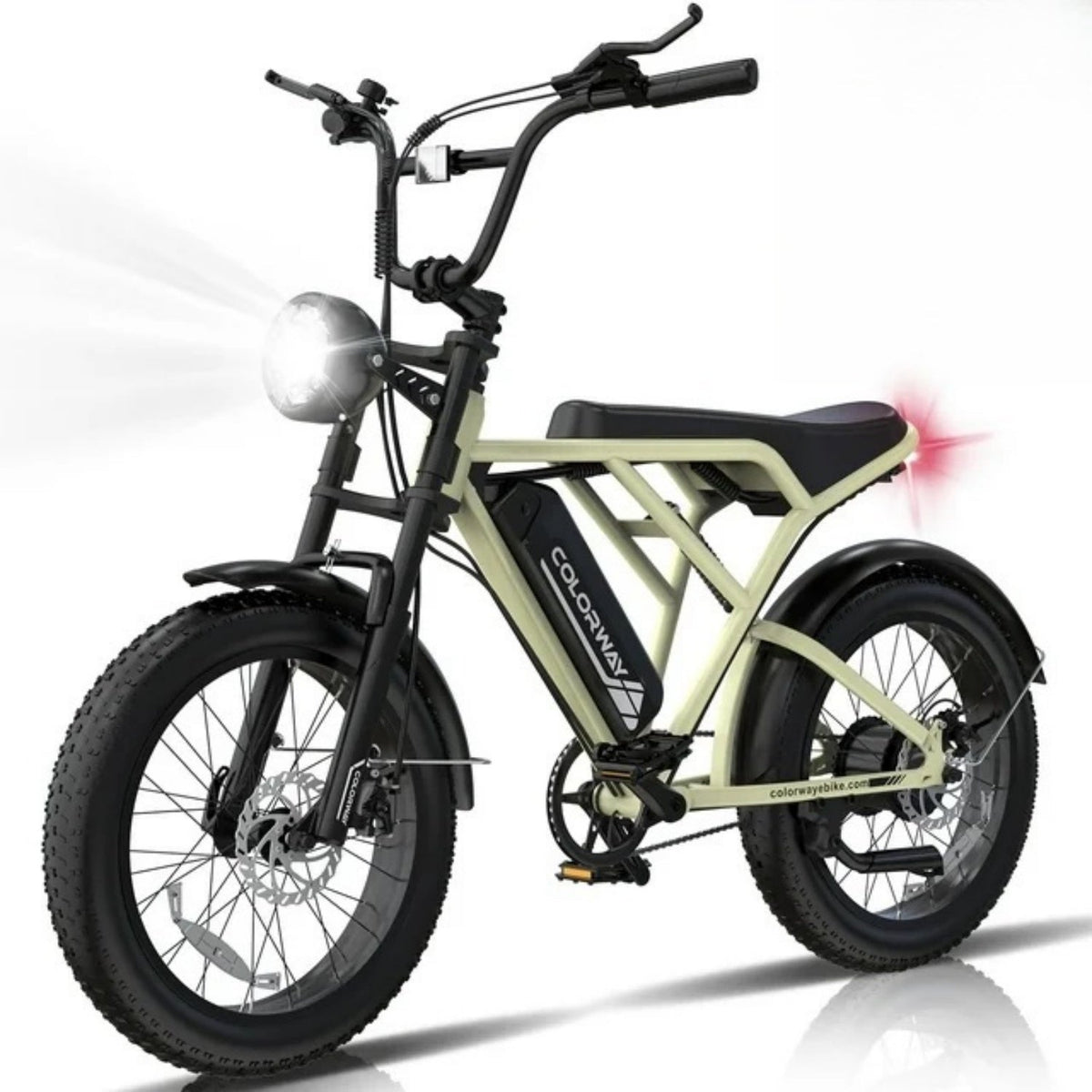 COLORWAY 750W Electric Bike for Adults,20X4.0 Fat Tire Off-Road E bike,36V/12Ah Battery Snow Beach Mountain Bike for Outdoor Cycling e bike