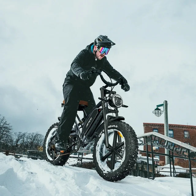 Arnahaishe 20" 4.0 Fat Tire Electric Bike for Adults, 750W Adults E Bike, 48V 14Ah Removable Li-Ion Battery, Professional 7-Speed, Electric Mountain Bicycle Beach Bike Snow Bike Ebike for Men